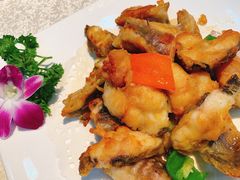 -顺德佬酒楼(愉龙店)