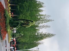 -东平国家森林公园