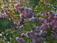 -长白岛森林公园