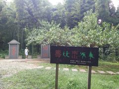 -镇江市南山风景名胜区竹林景区