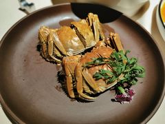 -RIVIERA 松鹤楼(外滩店)
