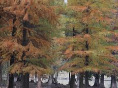 -白塘生态植物园