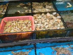 -小铜锣湾海鲜家常菜馆(河西店)