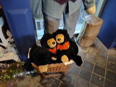 -济州岛泰迪熊博物馆