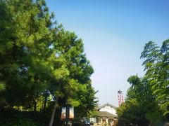 -茅山东方盐湖城景区