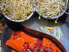 -阳阳老火锅(小南门店)