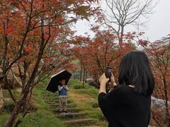 -广州市帽峰山景区