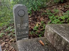 -梧桐山风景名胜区