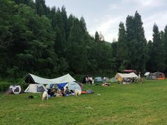 -武陵山森林公园