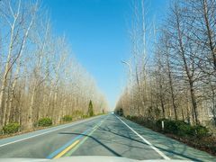 -盐城丹顶鹤湿地生态旅游区