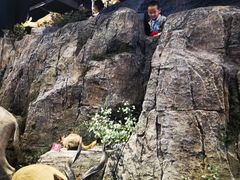 -陕西自然博物馆