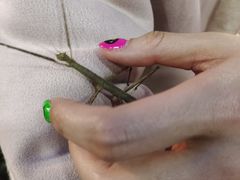 -上海大自然野生昆虫馆
