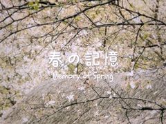 -中国茶叶博物馆(双峰馆区)