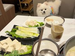 -汤宴·参须肚包鸡(南京路店)
