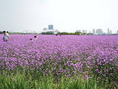 -赛汗塔拉风情园