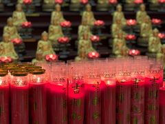 -龙口南山旅游景区