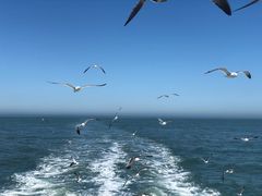 -海驴岛(荣成市)