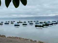 -抚仙湖禄充风景区