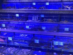 -青蓬蒸汽海鲜·深圳老字号·团建聚会(壹方城店)
