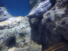 -临沂极地海洋王国