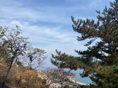-崂山仰口游览区