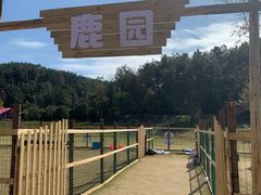 -黄陂区野村谷景区