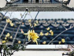 -凤凰寺