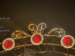 -武汉知音号