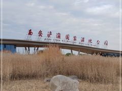 -西安浐灞国家湿地公园