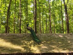 -昆山城市生态森林公园