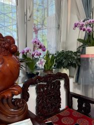 -北京美痣堂古方祛痣斑疣瘊
