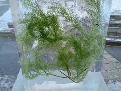 -长春公园(普阳街道)