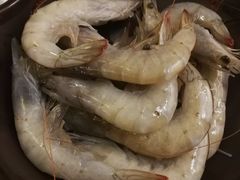 厄瓜多尔大白虾-钰龙轩清真重庆火锅(民治店)