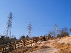 -白水寺森林公园