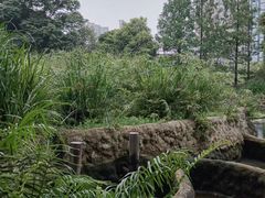 -成都市活水公园