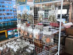 -蓝湾碧波·老字号·疍家非遗海上餐厅