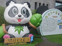 -都江堰中华大熊猫苑