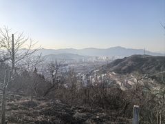 -红光山