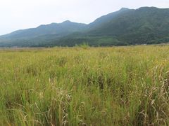 IMG_2687-腾冲北海湿地