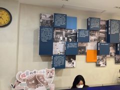 -伟伟宠物医院·CT影像中心·瑞派犬猫综合性门诊(汉口总院)