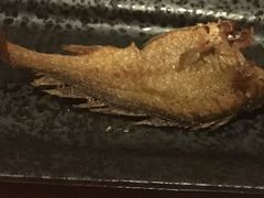 -锦江宾馆-花园餐厅