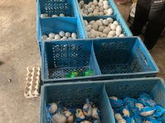 -白洋淀绿淀尚品土特产