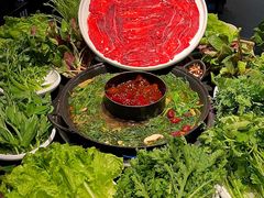 -巴蜀大将火锅(春熙店)