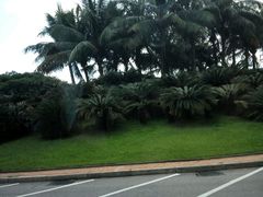 街景-香港皇家太平洋酒店