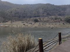 -梅岭月亮湾山体公园