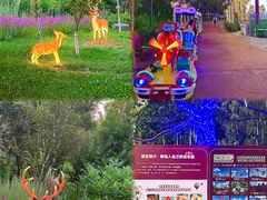 -水上乐园·欢乐世界