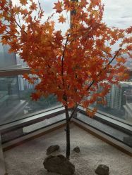 -松和日式美容整骨