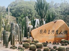-深圳仙湖植物园