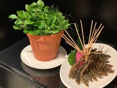 斑节虾-行家海鲜火锅酒家(静安寺店)