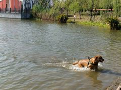 -上海长兴岛郊野公园